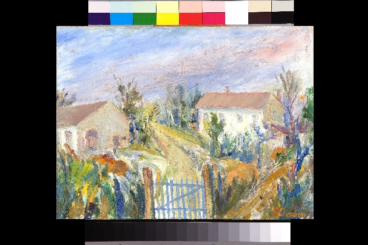 Giuseppe Fiorino Lucchini "Il cancello azzurro"