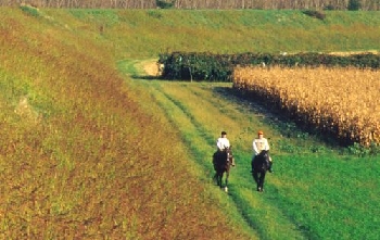 A cavallo nelle campagne mantovane