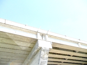 Ripristini e consolidamenti a seguito dei danni causati dagli eventi sismici del maggio 2012, per il Cavalcaferrovia della S.P. 48 sulla linea ferroviaria MN - MO, in territorio di GONZAGA.