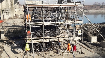 come uccidere i parassiti in cantiere