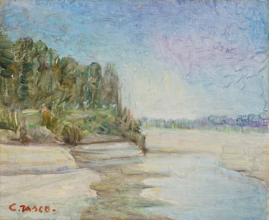 La boschina (paes.del Po),1973