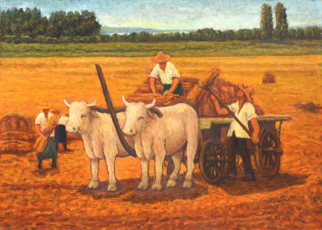 Raccolta del grano in golena 1988-90