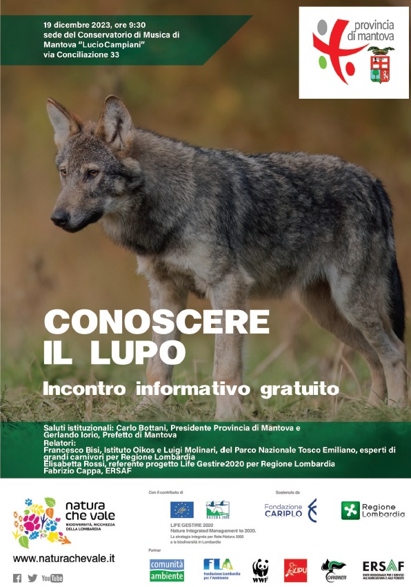 Conoscere il lupo convegno a Mantova il 19 dicembre 2023.jpg