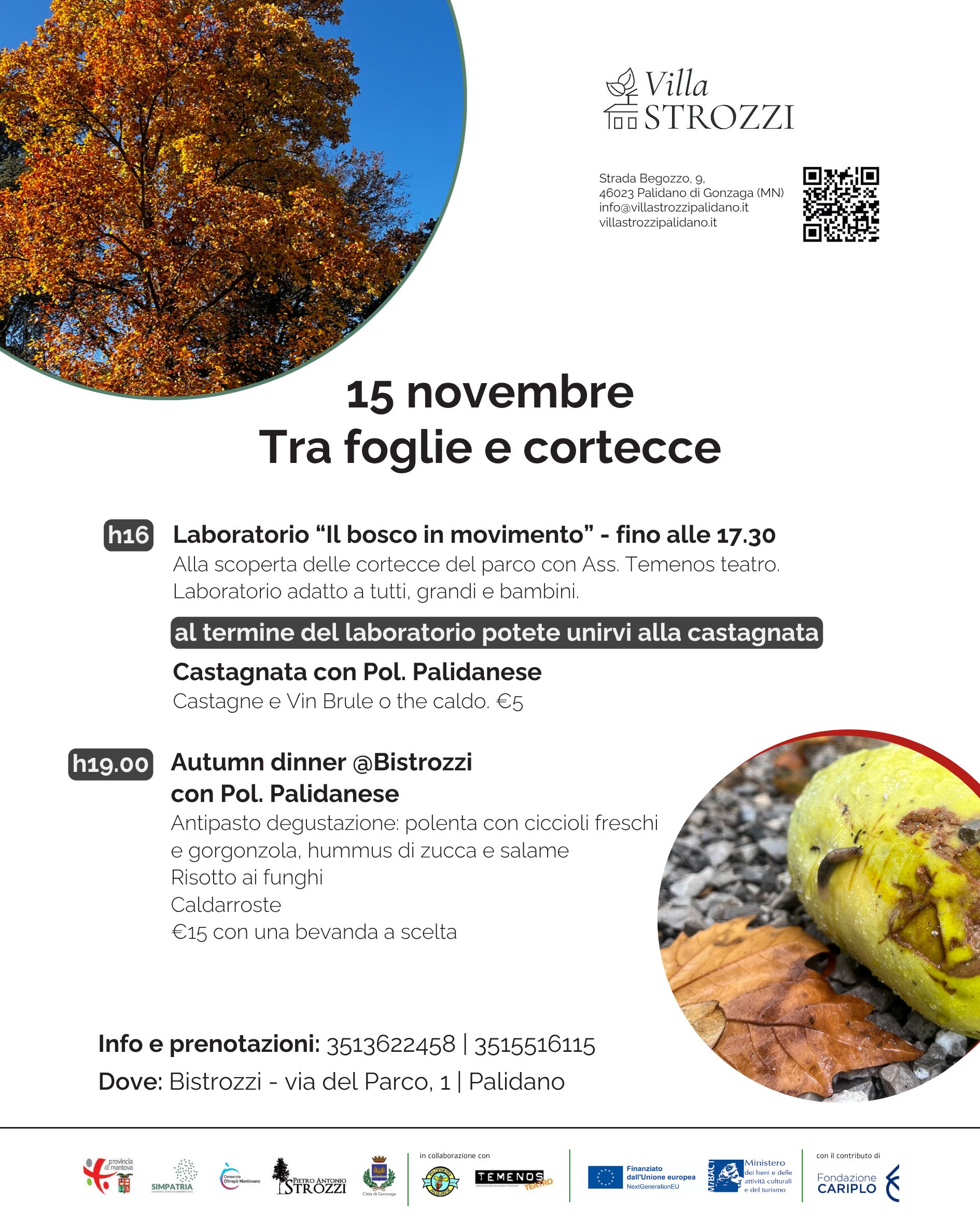 Tra foglie e cortecce